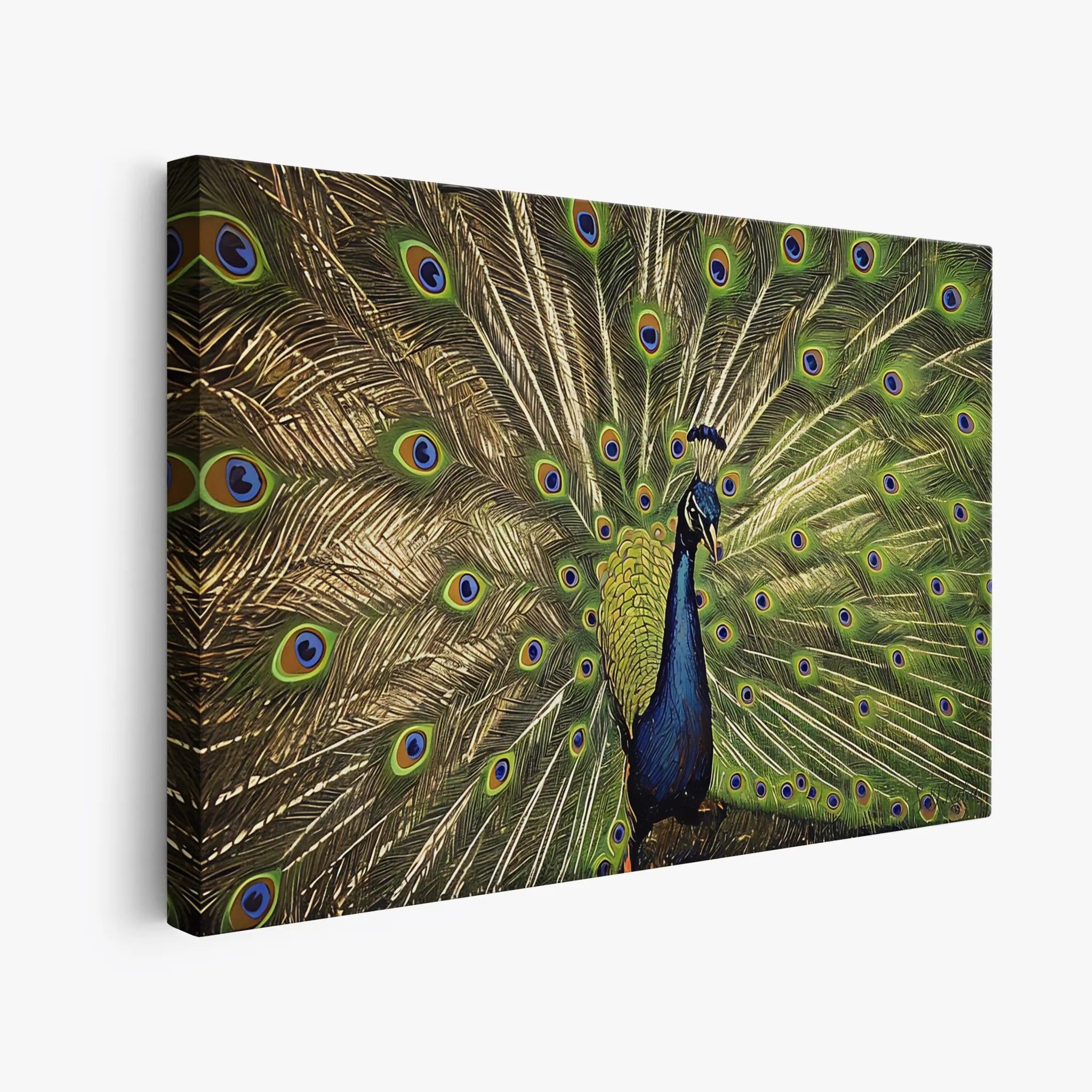 Birds & Insects Art Prints