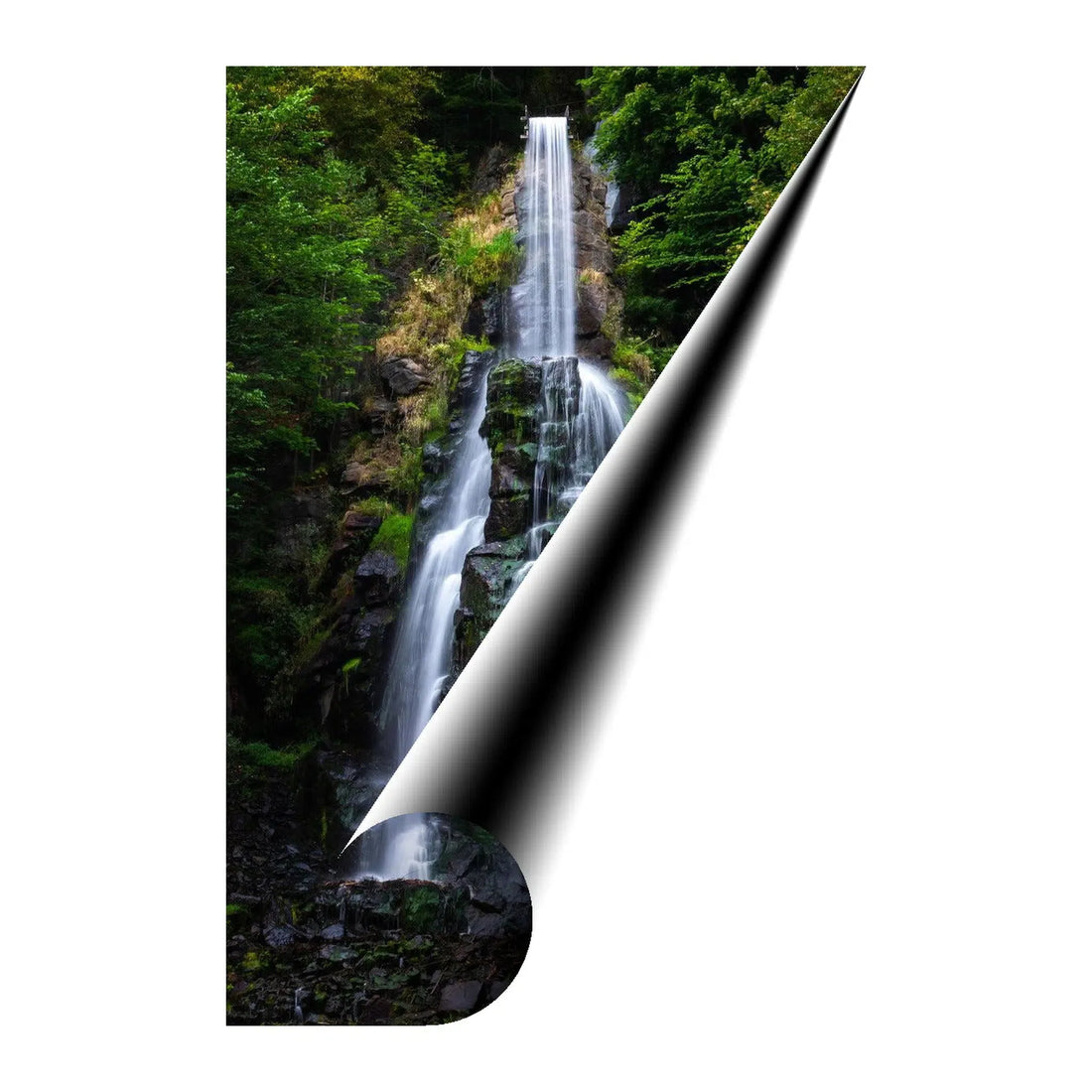 Serene Forest Waterfall Giclée Print 23502 Visual Wall Art