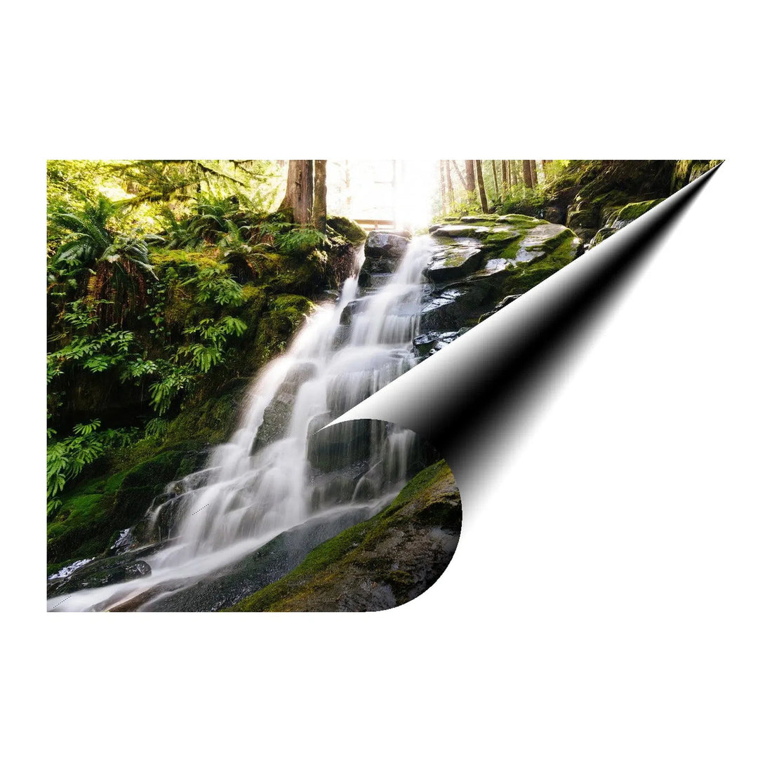 Peaceful Forest Waterfall Giclée Print 32603 Visual Wall Art