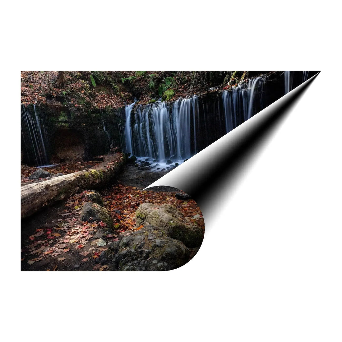 Tranquil Forest Waterfall Giclée Print 32601 Visual Wall Art