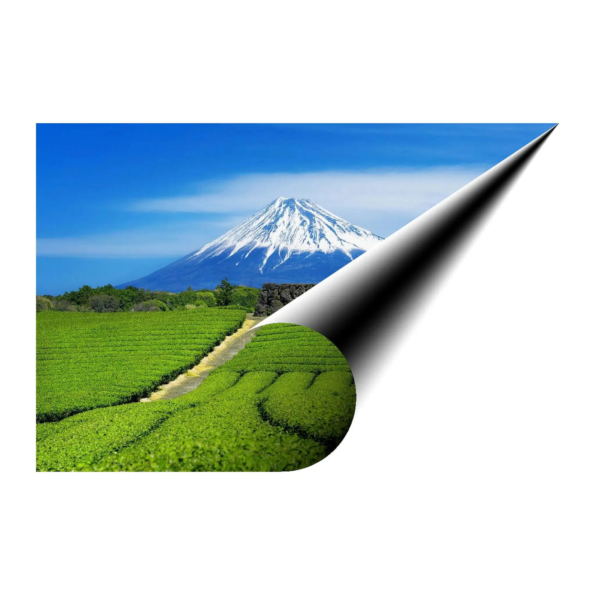 Mount Fuji Landscape Giclée Print 32661 Visual Wall Art