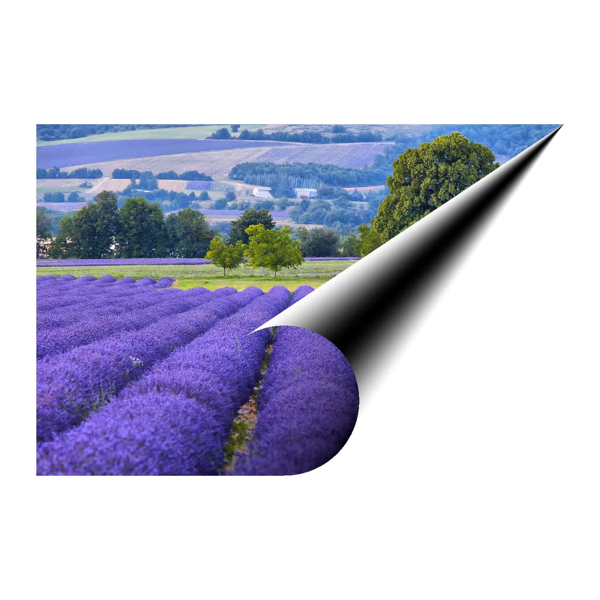 Lander Fields Landscape Giclée Print 32639 Visual Wall Art