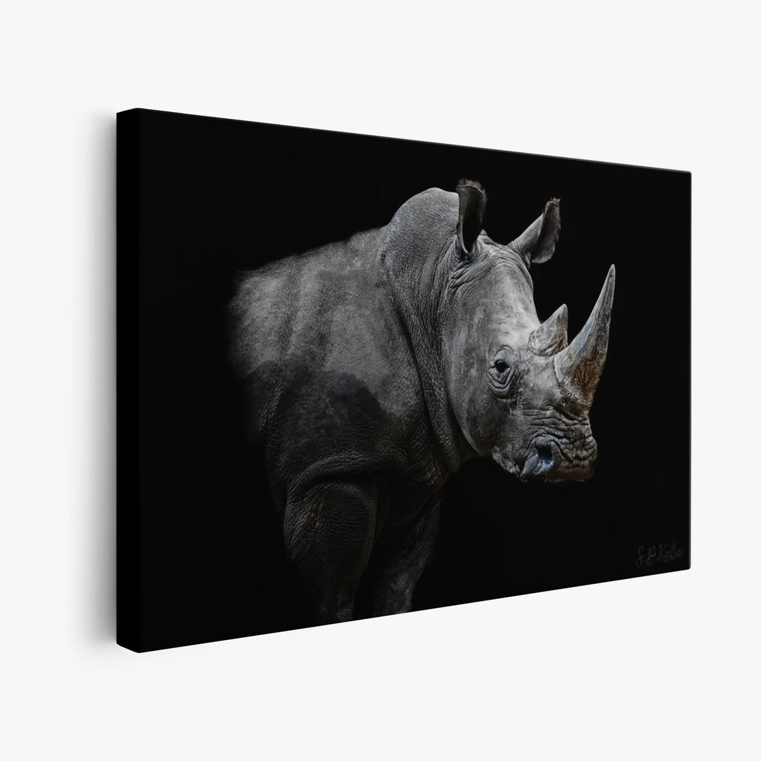 African Rhinoceros Close-Up Dramatic Animal Giclée Print 321003 Visual Wall Art AR3:2H Giclée Print