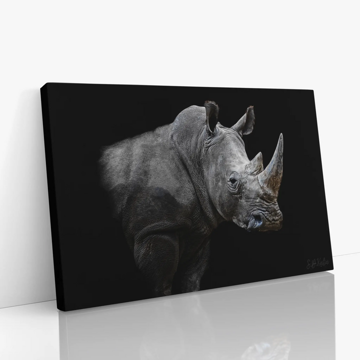 Canvas print featuring a detailed black and white image of a rhinoceros on a black background.
