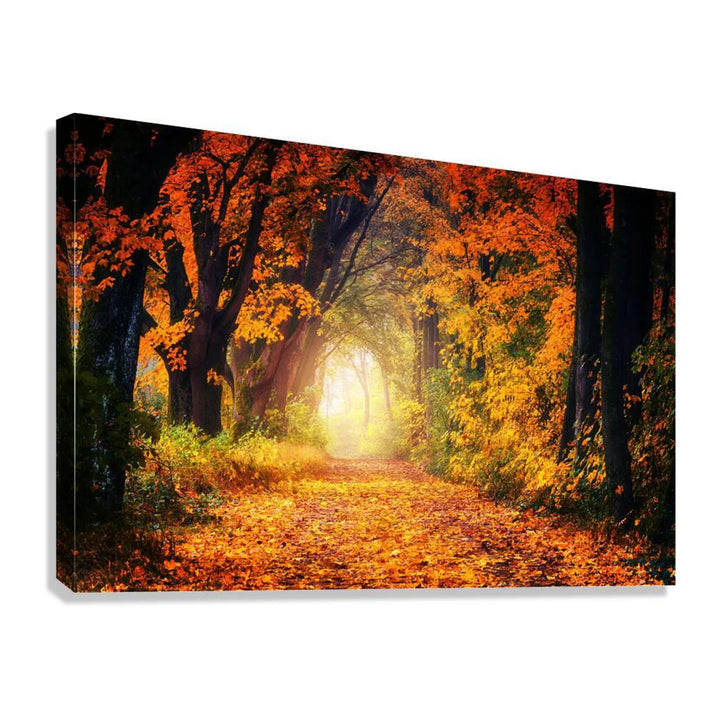 Autumn Forest Pathway Landscape Giclée Print 32660 Giclée Stretched Canvas Print Visual Wall Art