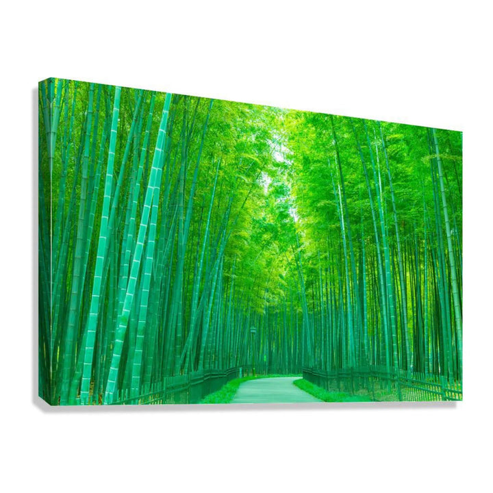 Bamboo Forest Pathway Landscape Giclée Print 32658 Giclée Stretched Canvas Print Visual Wall Art