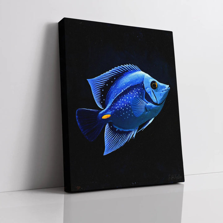 Blue Tang Giclée Print Paracanthurus hepatus 451004 Visual Wall Art AR3:4V-AR4:5V Giclée Print