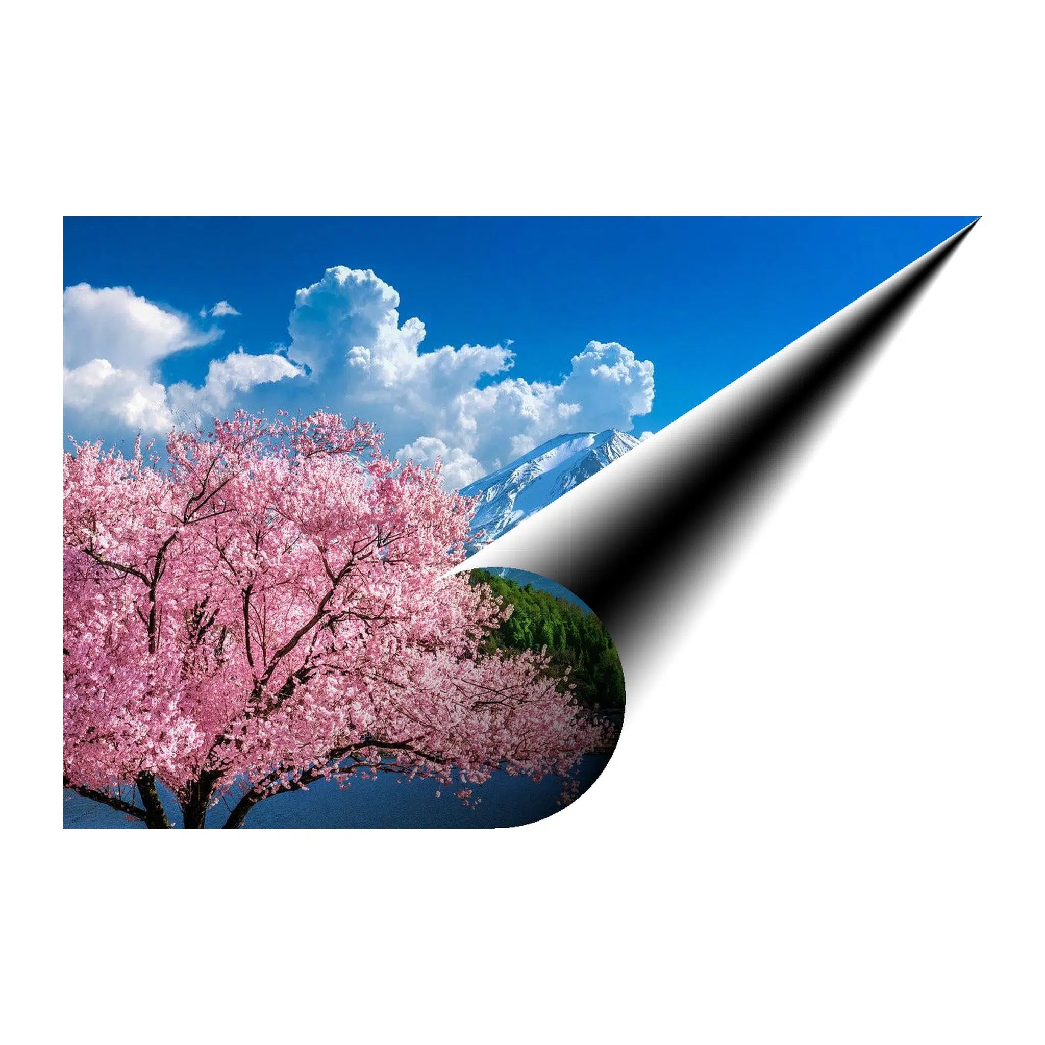 Cherry Blossom Landscape Giclée Print 32662 Giclée Fine Art Matte Paper Print Visual Wall Art