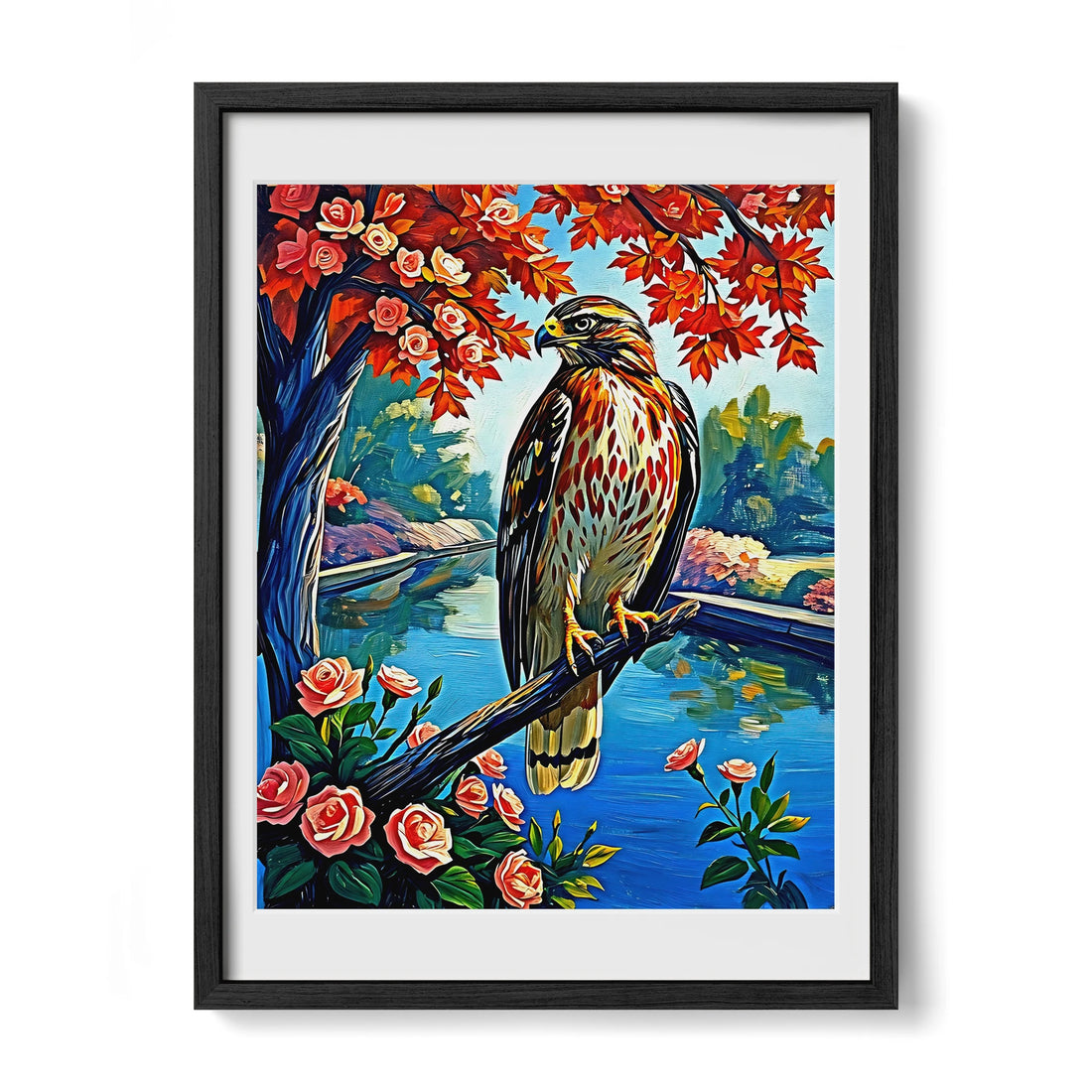 Chickenhawk Red-Tailed Hawk-Framed Paper Print-452227 Black Premium Oak Mats Visual Wall Art Framed Print
