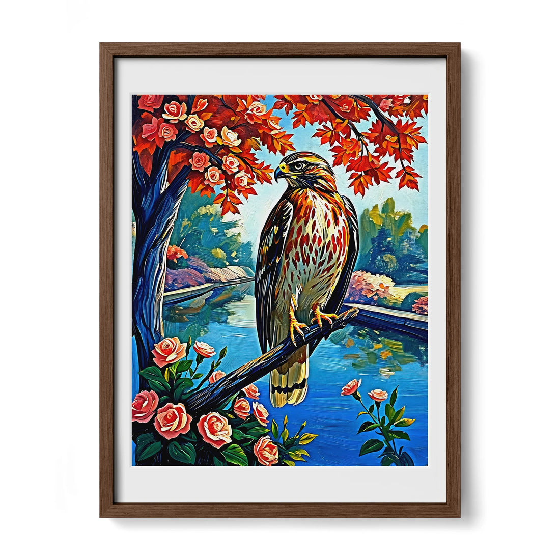 Chickenhawk Red-Tailed Hawk-Framed Paper Print-452227 Walnut Premium Oak Mats Visual Wall Art Framed Print