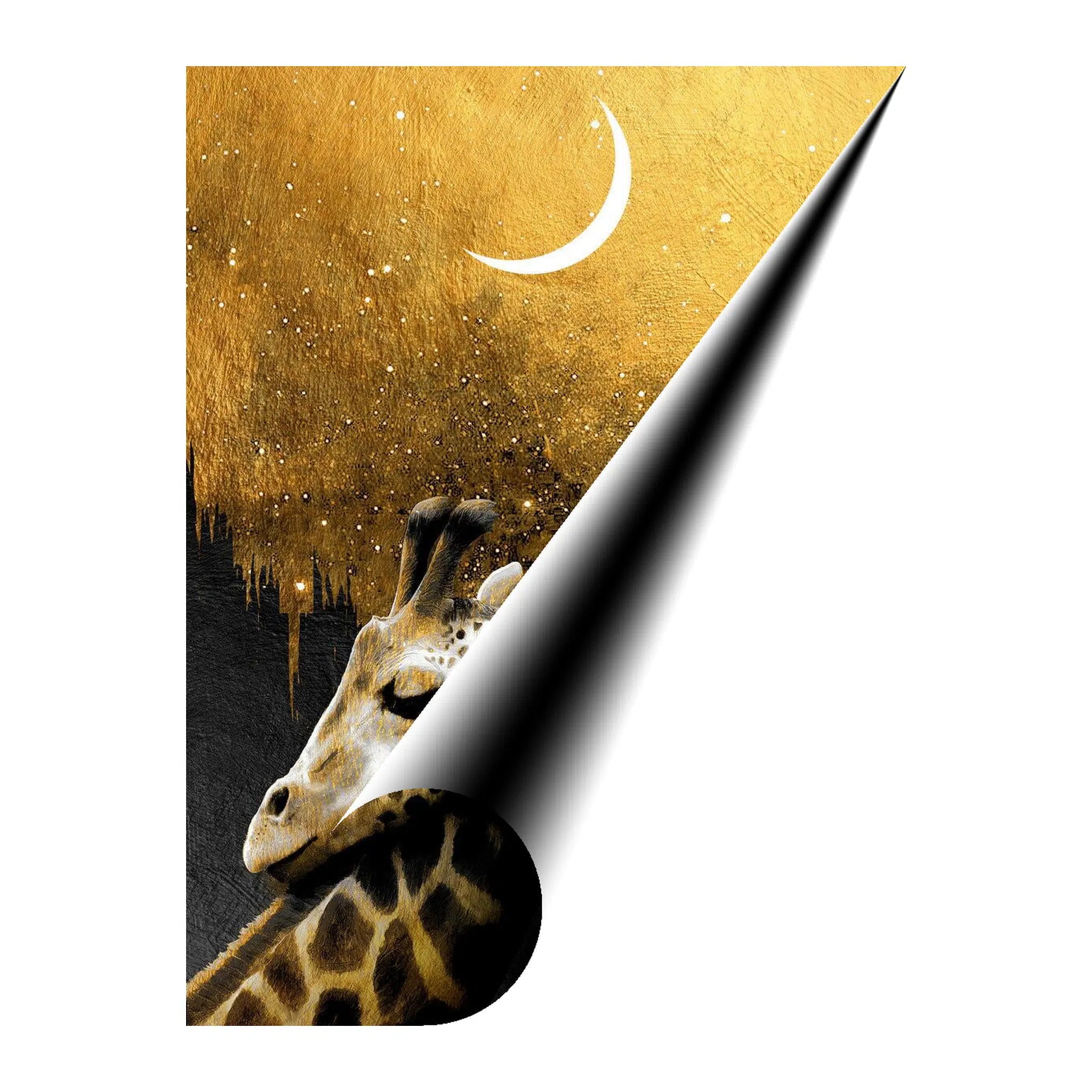 Giraffes Love Gold Giclée Print 34913 Giclée Rolled Canvas Print Visual Wall Art