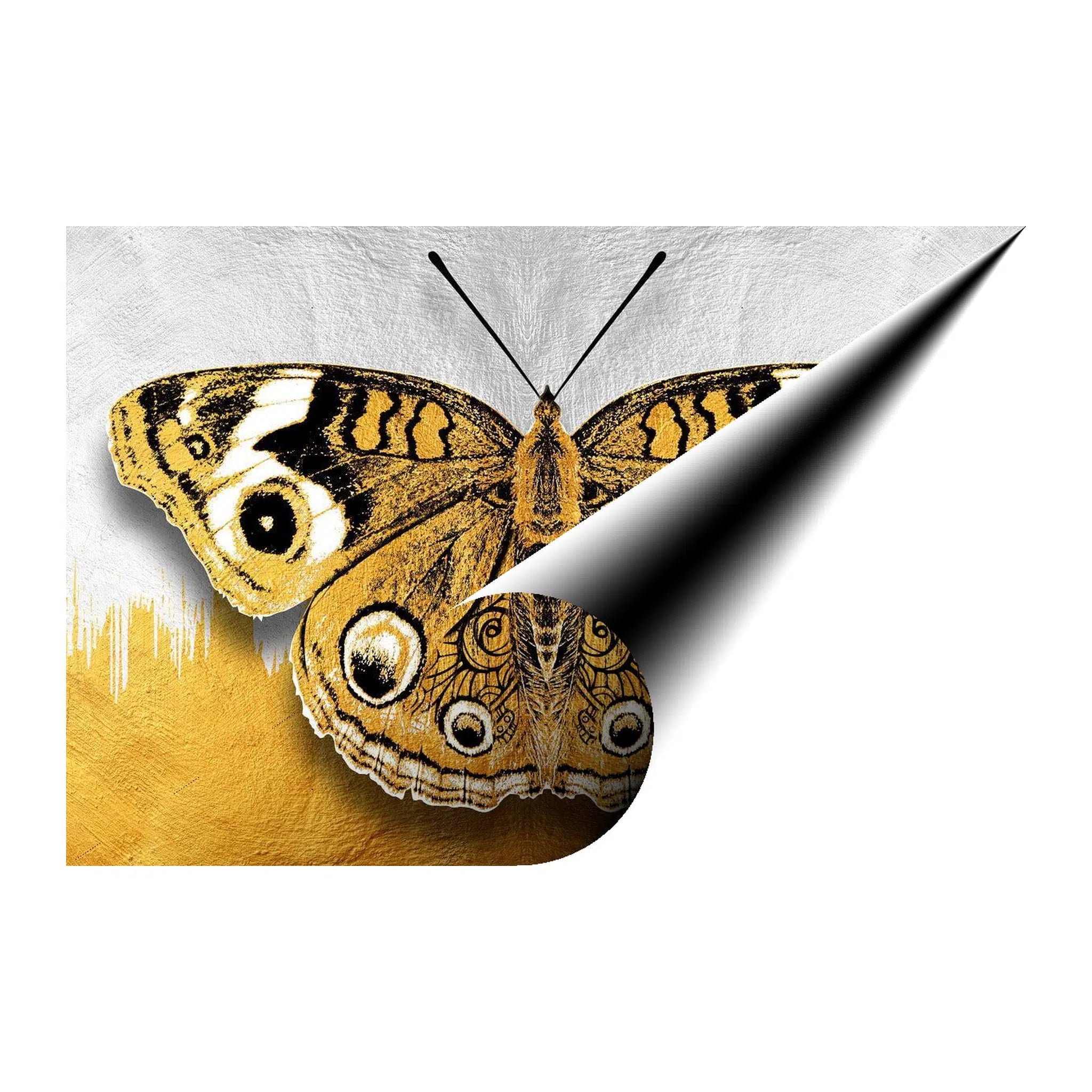 Golden Butterfly Giclée Print 32912 Giclée Fine Art Matte Paper Print Visual Wall Art