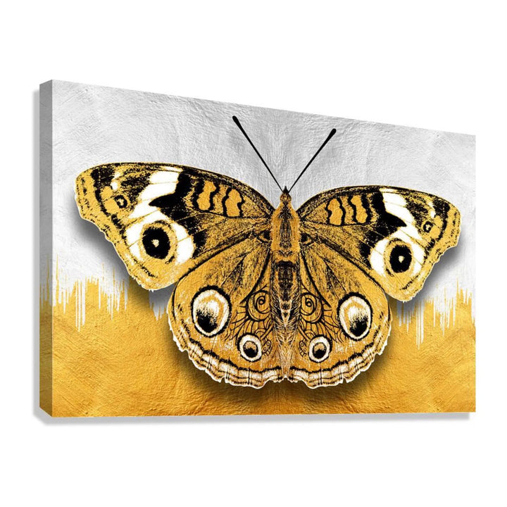 Golden Butterfly Giclée Print 32912 Giclée Stretched Canvas Print Visual Wall Art