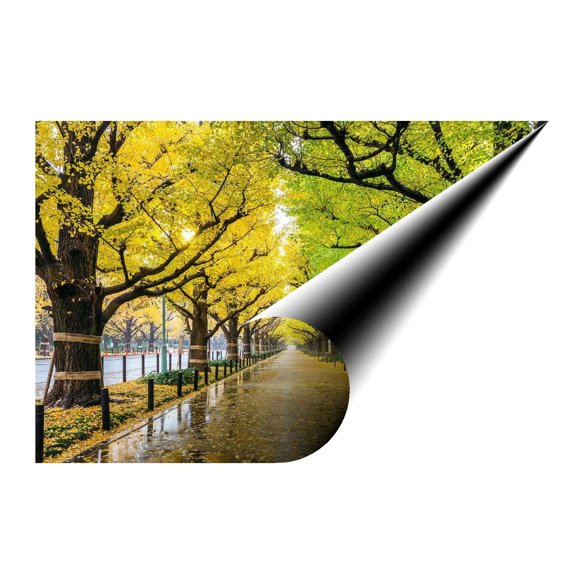 Golden Ginkgo Anue Landscape Giclée Print 32647 Giclée Fine Art Matte Paper Print Visual Wall Art