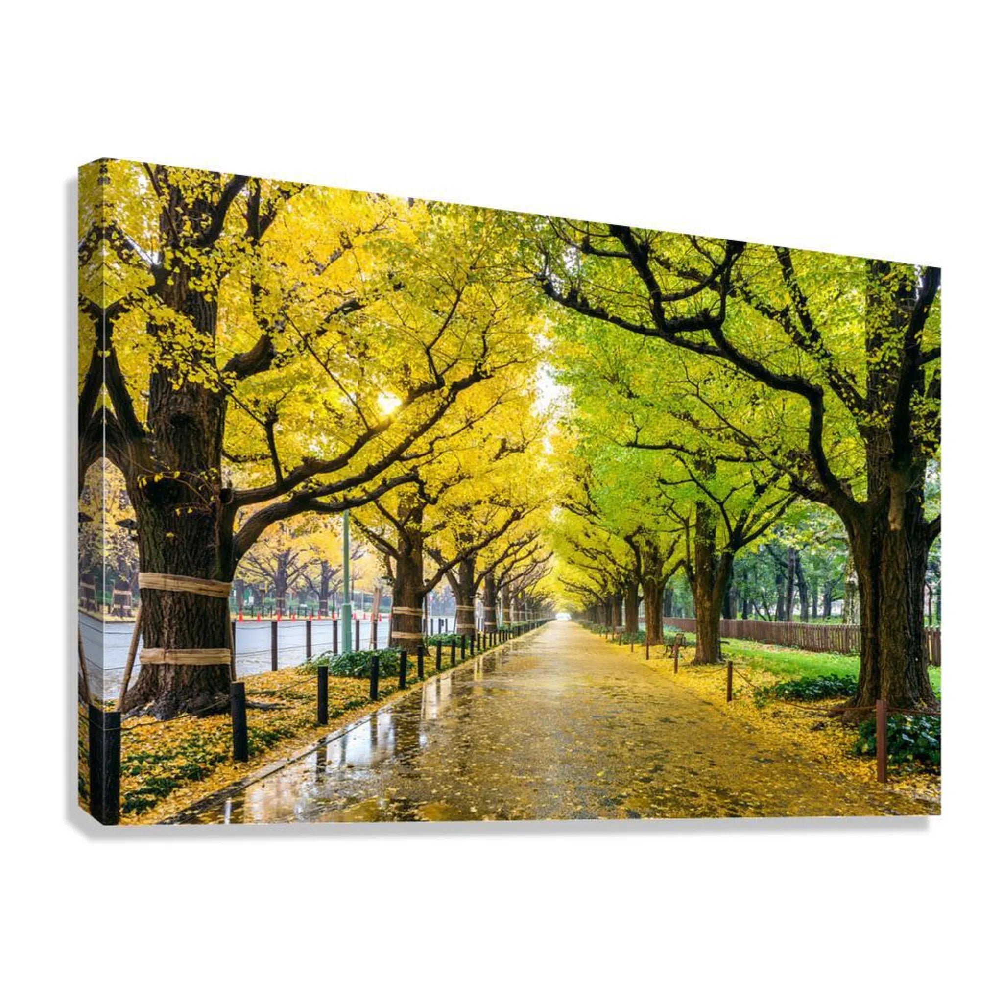 Golden Ginkgo Anue Landscape Giclée Print 32647 Giclée Stretched Canvas Print Visual Wall Art