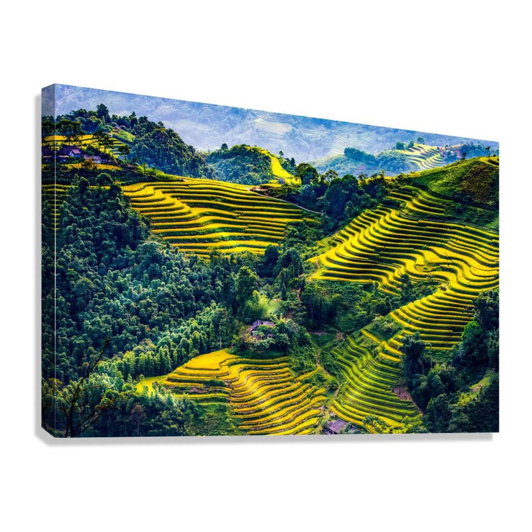 Golden Terraced Fields Landscape Giclée Print 32640 Giclée Stretched Canvas Print Visual Wall Art