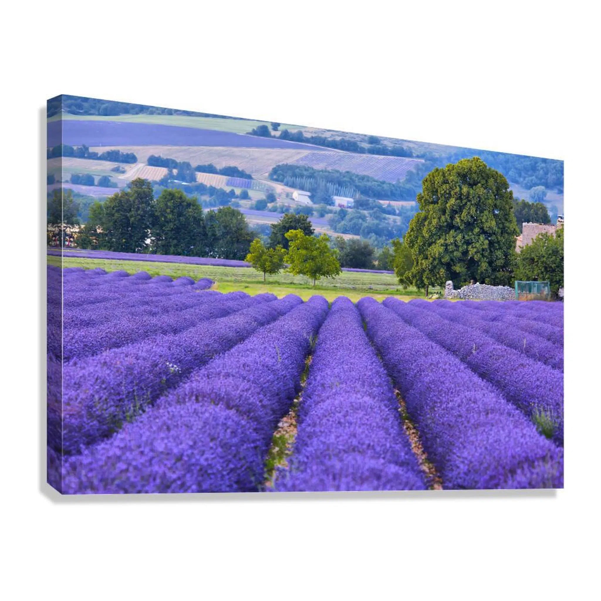 Lander Fields Landscape Giclée Print 32639 Giclée Stretched Canvas Print Visual Wall Art