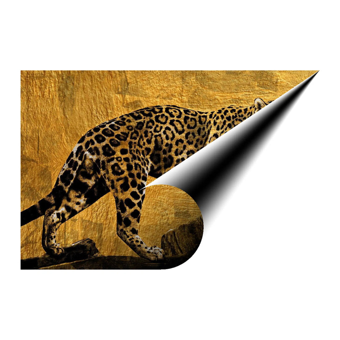 Leopard Gold Giclee Print 32900 Giclée Rolled Canvas Print Pictorem.com