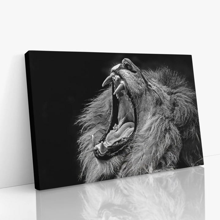 Black and white canvas print of a yawning lion with detailed mane and open mouth.