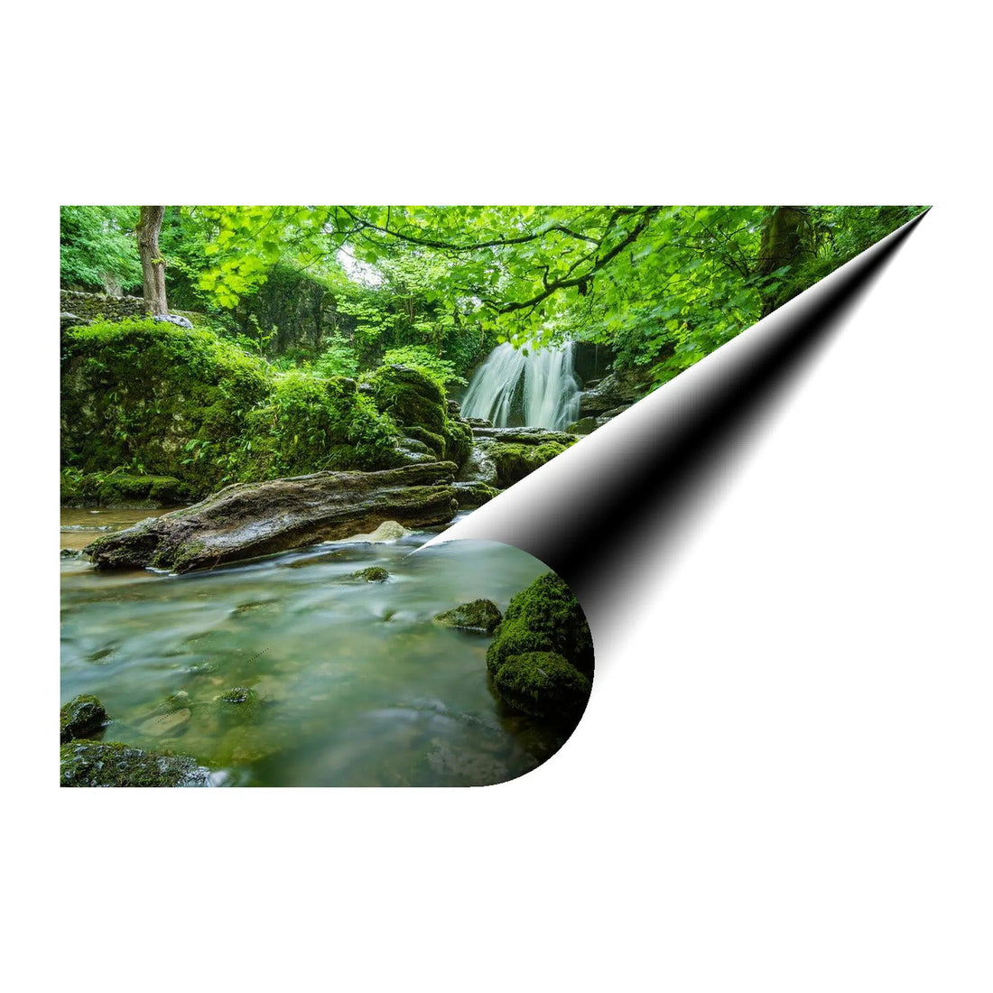 Lush Forest Stream Waterfall Giclée Print 32621 Giclée Fine Art Matte Paper Print Visual Wall Art