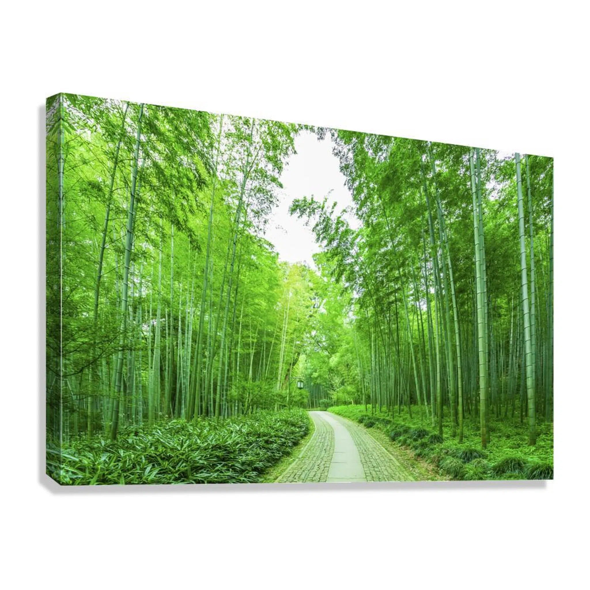 Lush Greenery Pathway Landscape Giclée Print 32645 Giclée Stretched Canvas Print Visual Wall Art