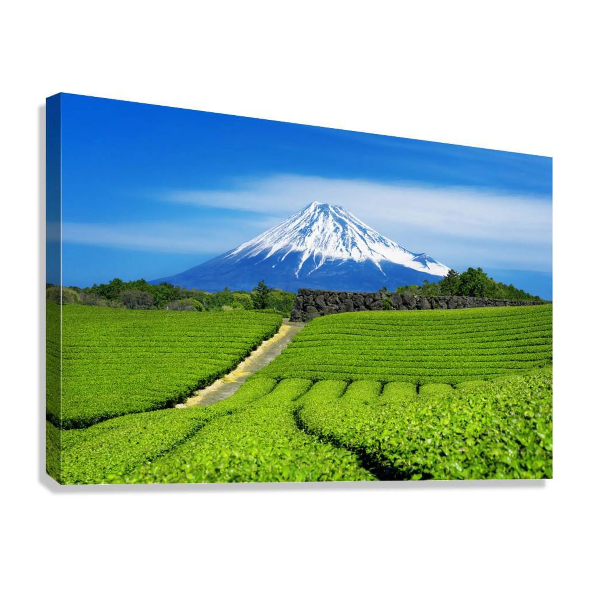 Mount Fuji Landscape Giclée Print 32661 Giclée Stretched Canvas Print Visual Wall Art