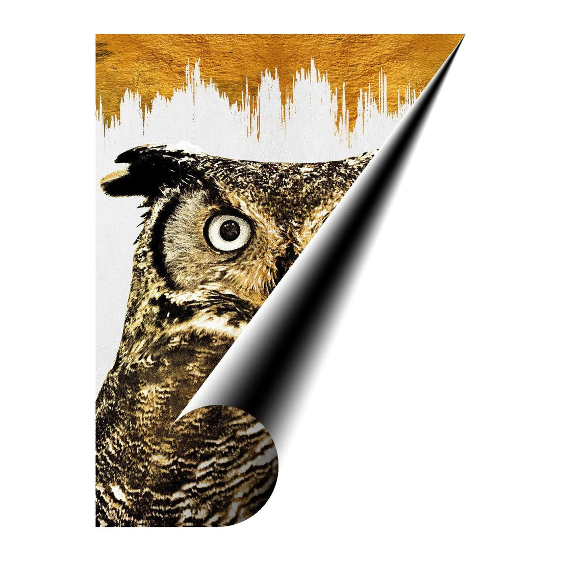 Owl Portrait Gold Giclee Print 34910 Giclée Rolled Canvas Print Pictorem.com