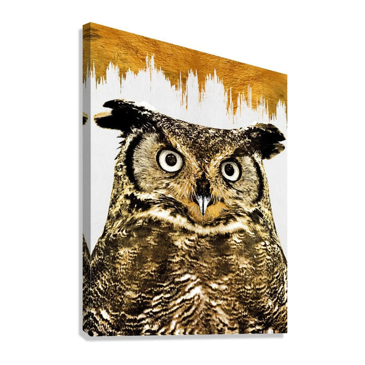 Owl Portrait Gold Giclee Print 34910 Giclée Stretched Canvas Print Pictorem.com