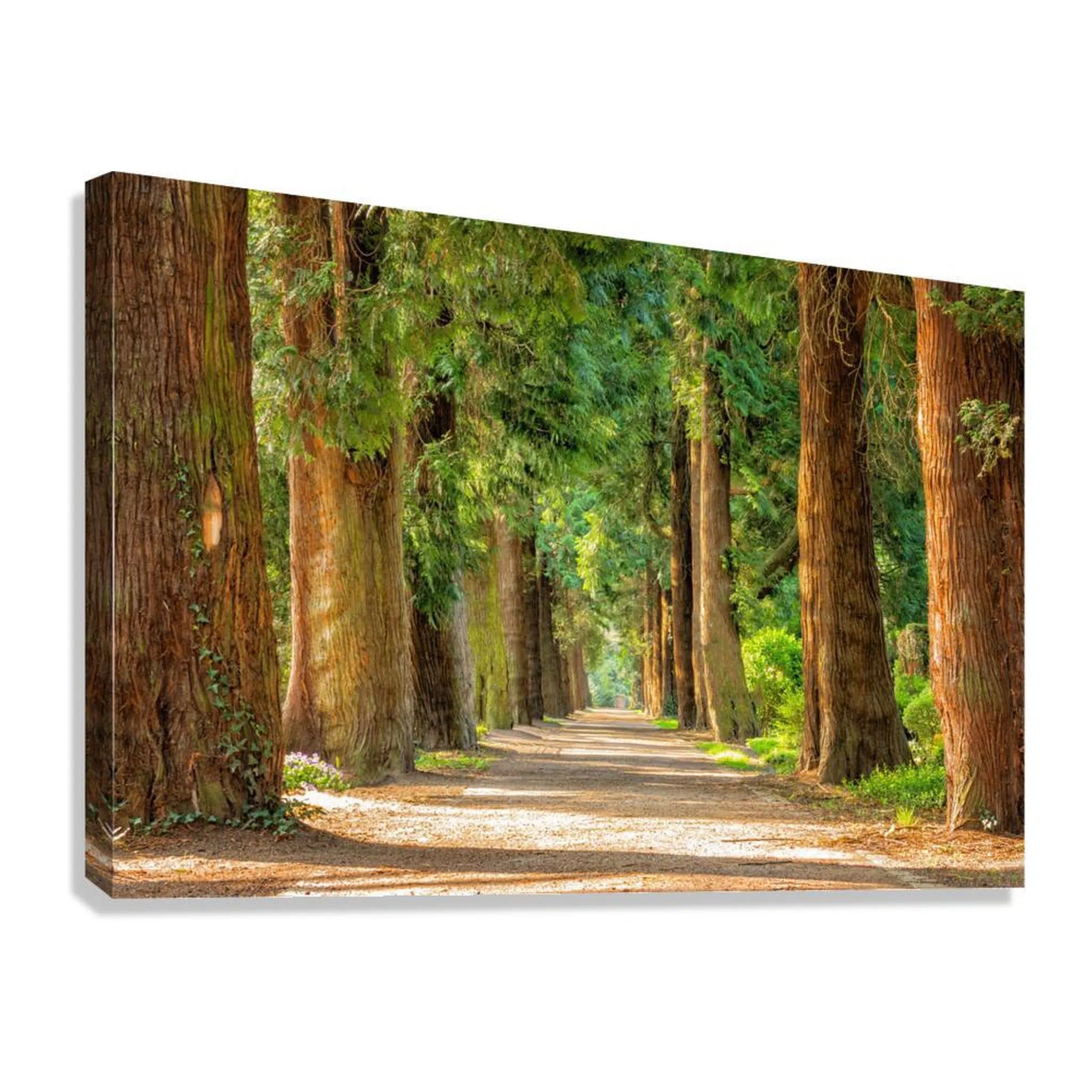 Redwood Pathway Landscape Giclée Print 32653 Giclée Stretched Canvas Print Visual Wall Art