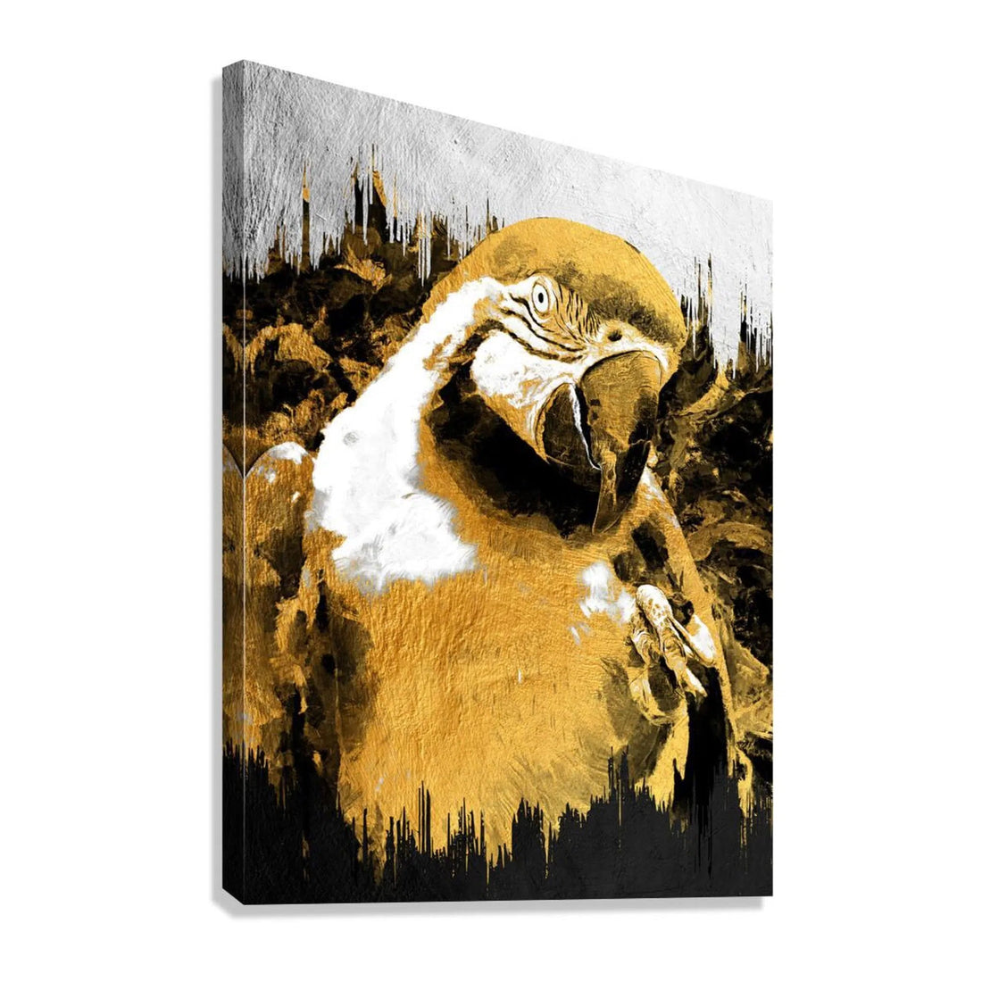 Scarlette Macaw Gold Giclée Print 34907 Giclée Stretched Canvas Print Visual Wall Art