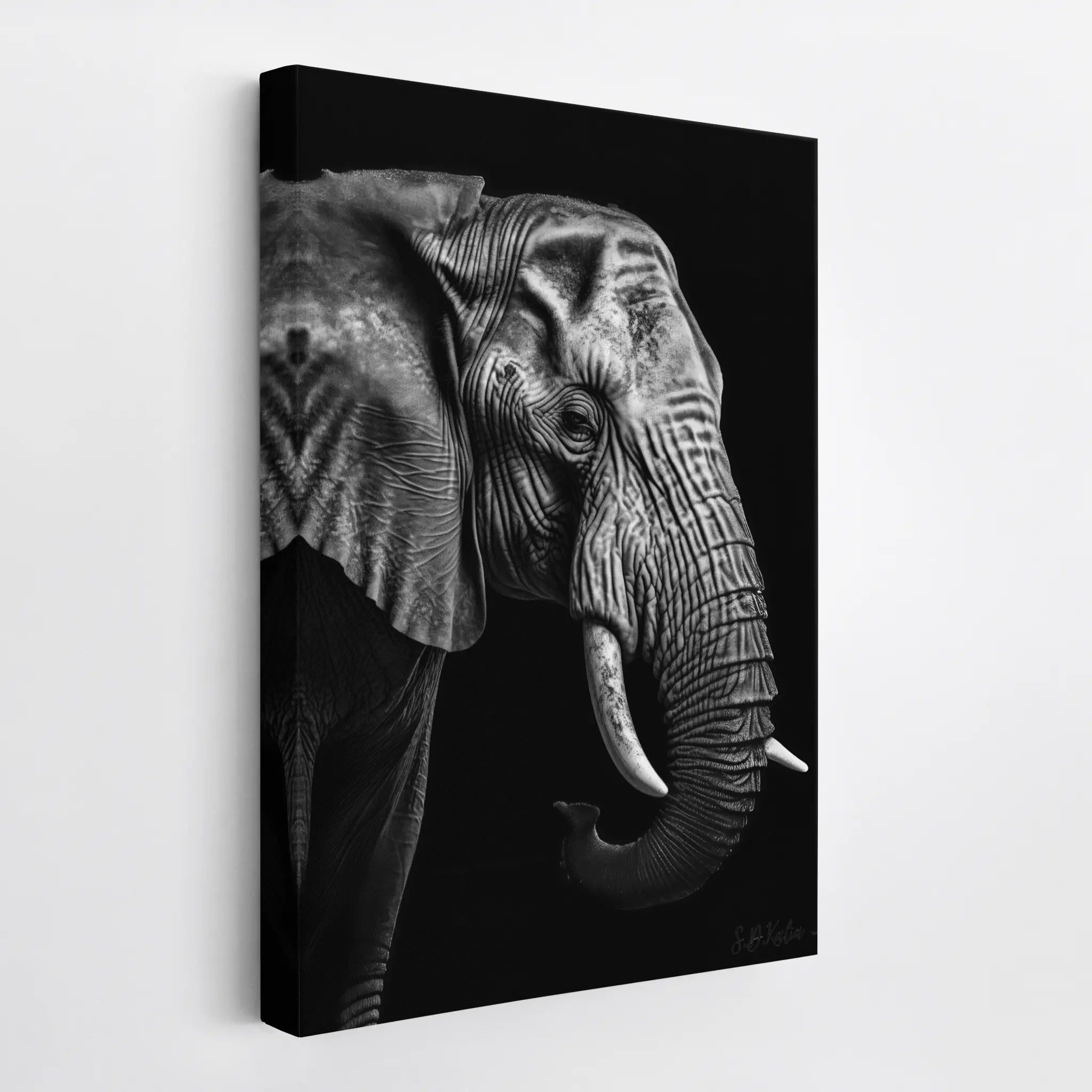 Silver Wrinkles Elephant in Profile Giclée Print 231054 Visual Wall Art AR2:3V Giclée Print