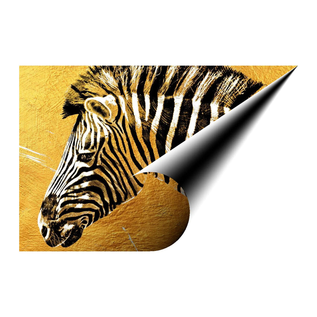 Zebra Gold Giclée Print 32910 Giclée Rolled Canvas Print Visual Wall Art