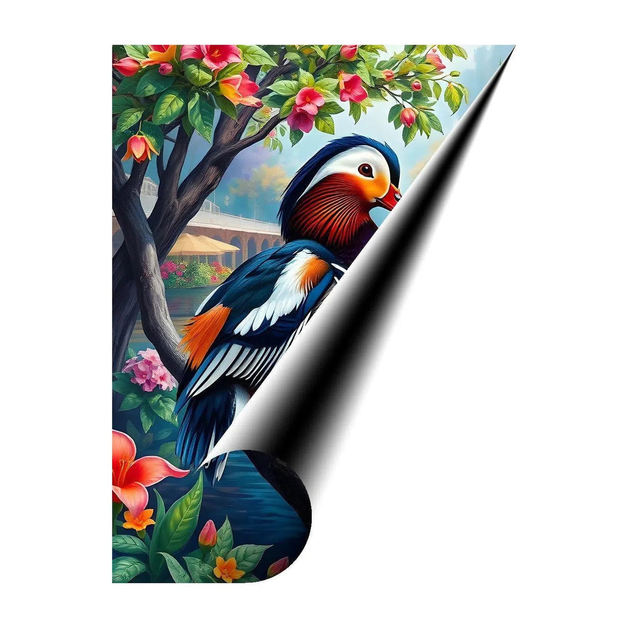 Aix Galericulata Mandarin Duck, Bird Art Print 34222 Giclée Fine Art Matte Paper Print Visual Wall Art