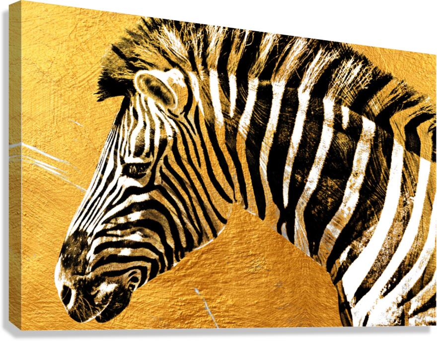 Zebra Gold Giclee Print 32910 Pictorem.com