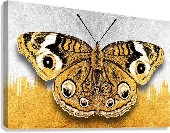 Golden Butterfly Giclee Print 32912 Pictorem.com