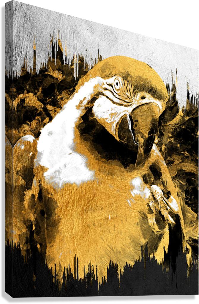 Scarlette Macaw  Gold Giclee Print 34907