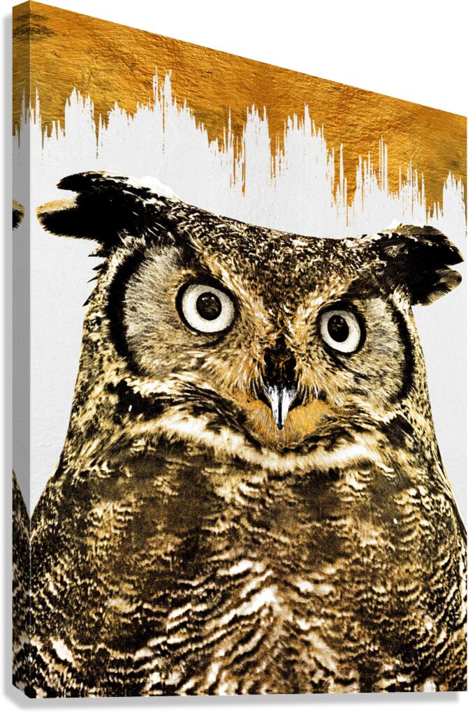 Owl Portrait Gold Giclee Print 34910 Pictorem.com