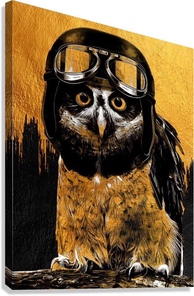 Owl Pilot Gold Giclee Print 34906 Pictorem.com