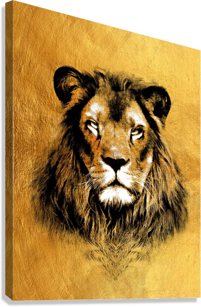 Lion Portrait Gold Giclee Print 34917 Pictorem.com