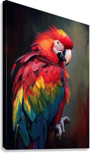 Giclée Stretched Canvas Print