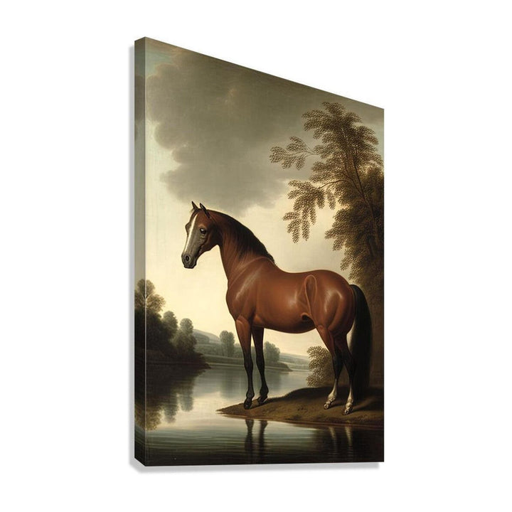 Brown Stallion Horse Pondering, Animal Art Print23403 Giclée Stretched Canvas Print Visual Wall Art