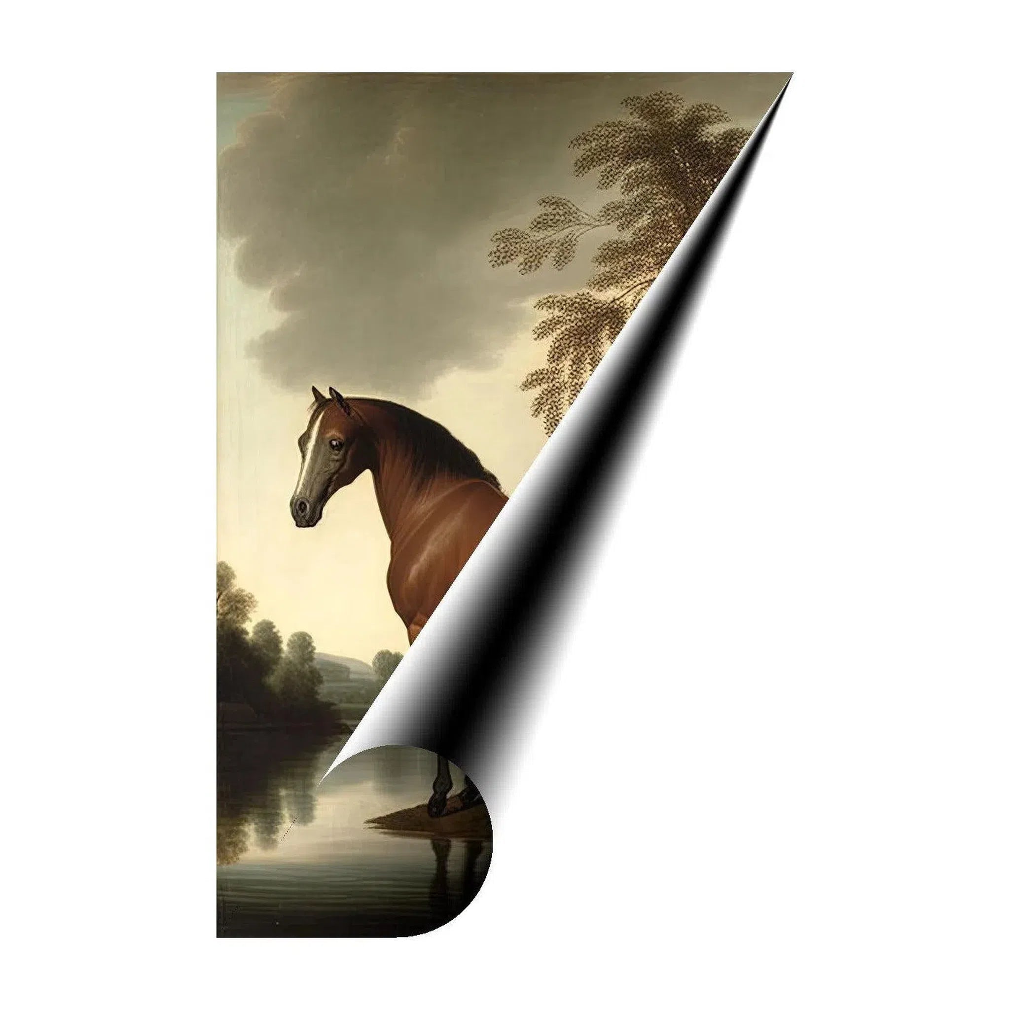 Brown Stallion Horse Pondering, Animal Art Print23403 Giclée Fine Art Matte Paper Print Visual Wall Art