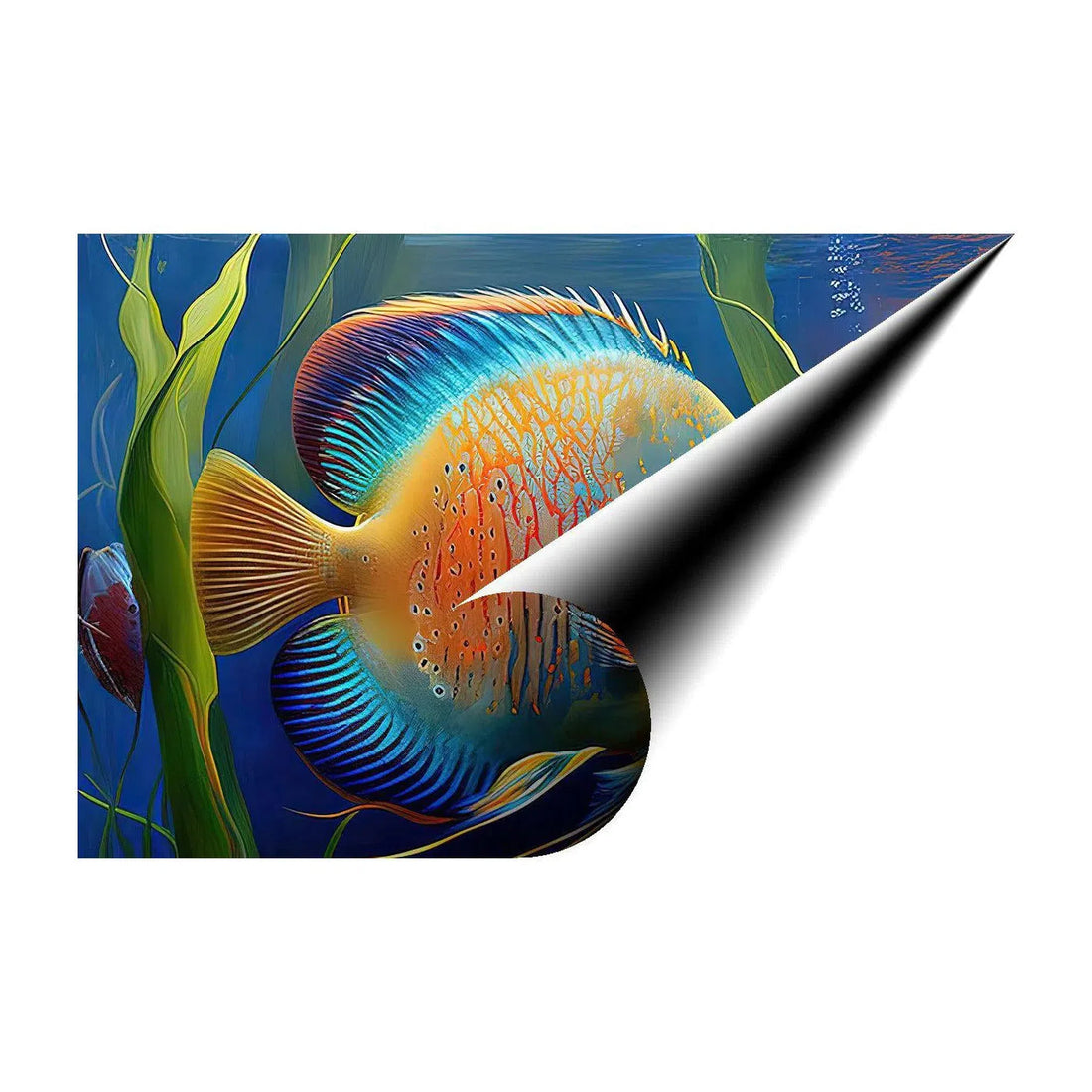 Discus In Aquarium, Fish Art Print 32300 Giclée Rolled Canvas Print Visual Wall Art