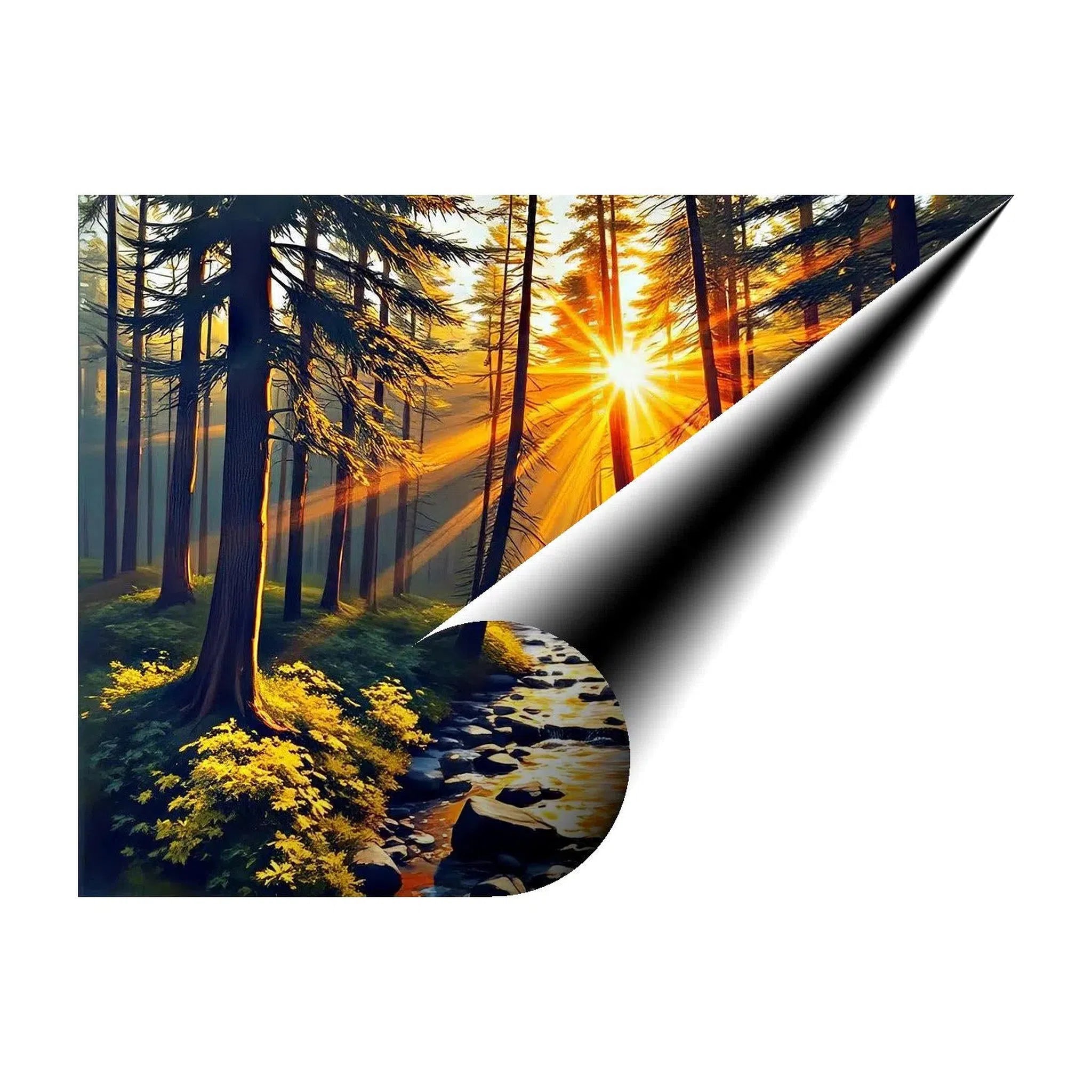 Golden Light Illumination Nature Art Print 43713 Giclée Fine Art Matte Paper Print Visual Wall Art