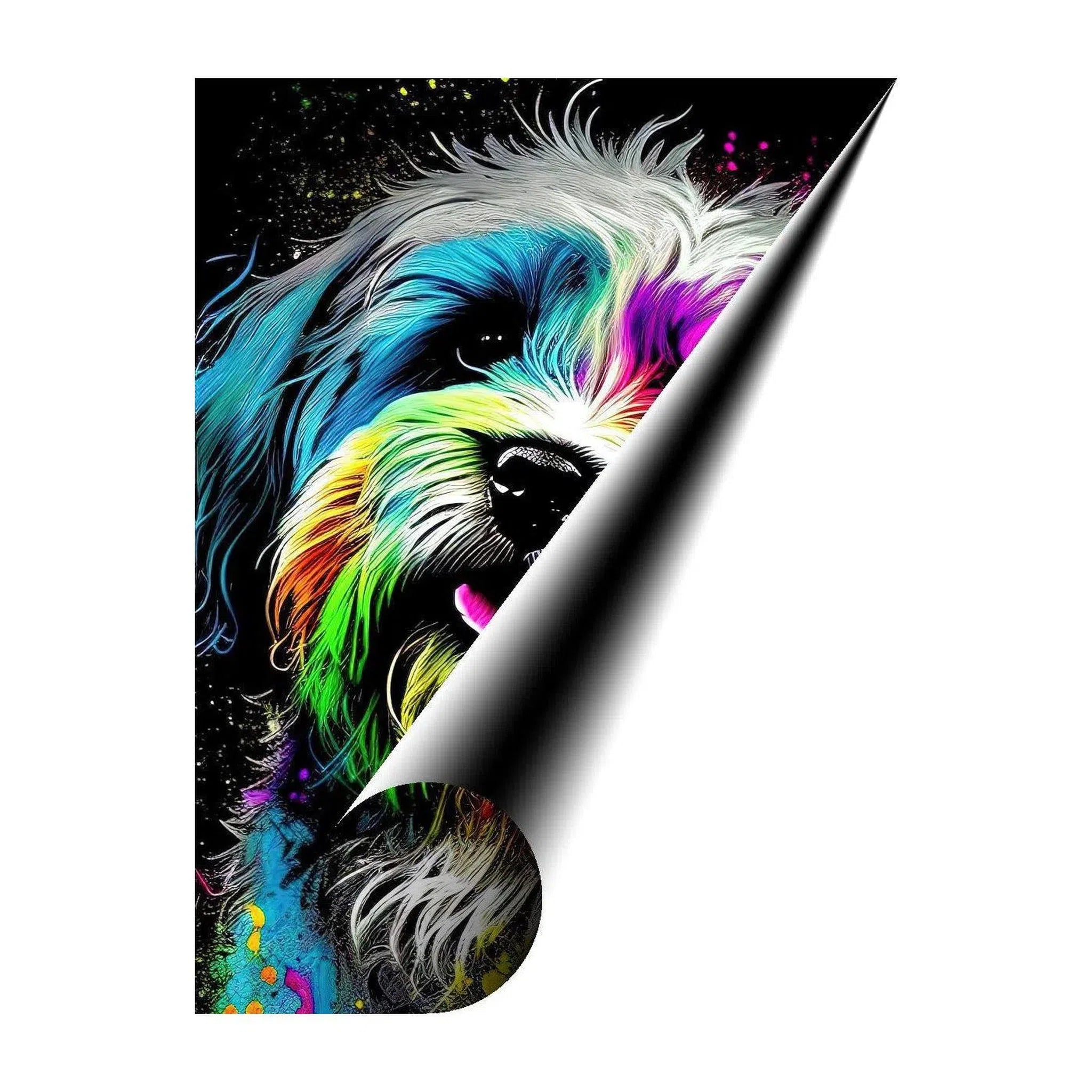 Havanese Dog, Pet Portrait Print 34101 Giclée Fine Art Matte Paper Print Visual Wall Art