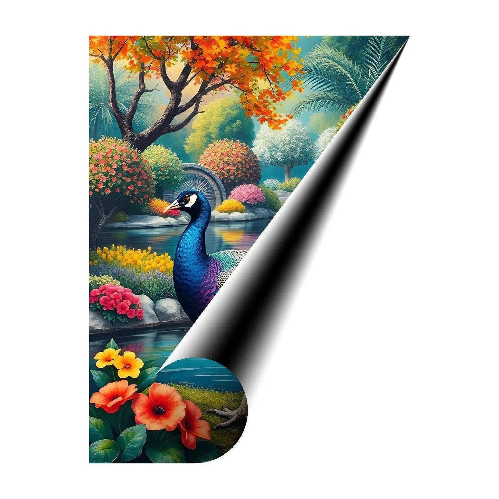 Indian Peafowl Pavo Cristatus, Bird Art Print 34220 Giclée Fine Art Matte Paper Print Visual Wall Art