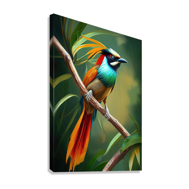 Lesser Of Paradise, Bird Art Print 23256 Giclée Stretched Canvas Print Visual Wall Art