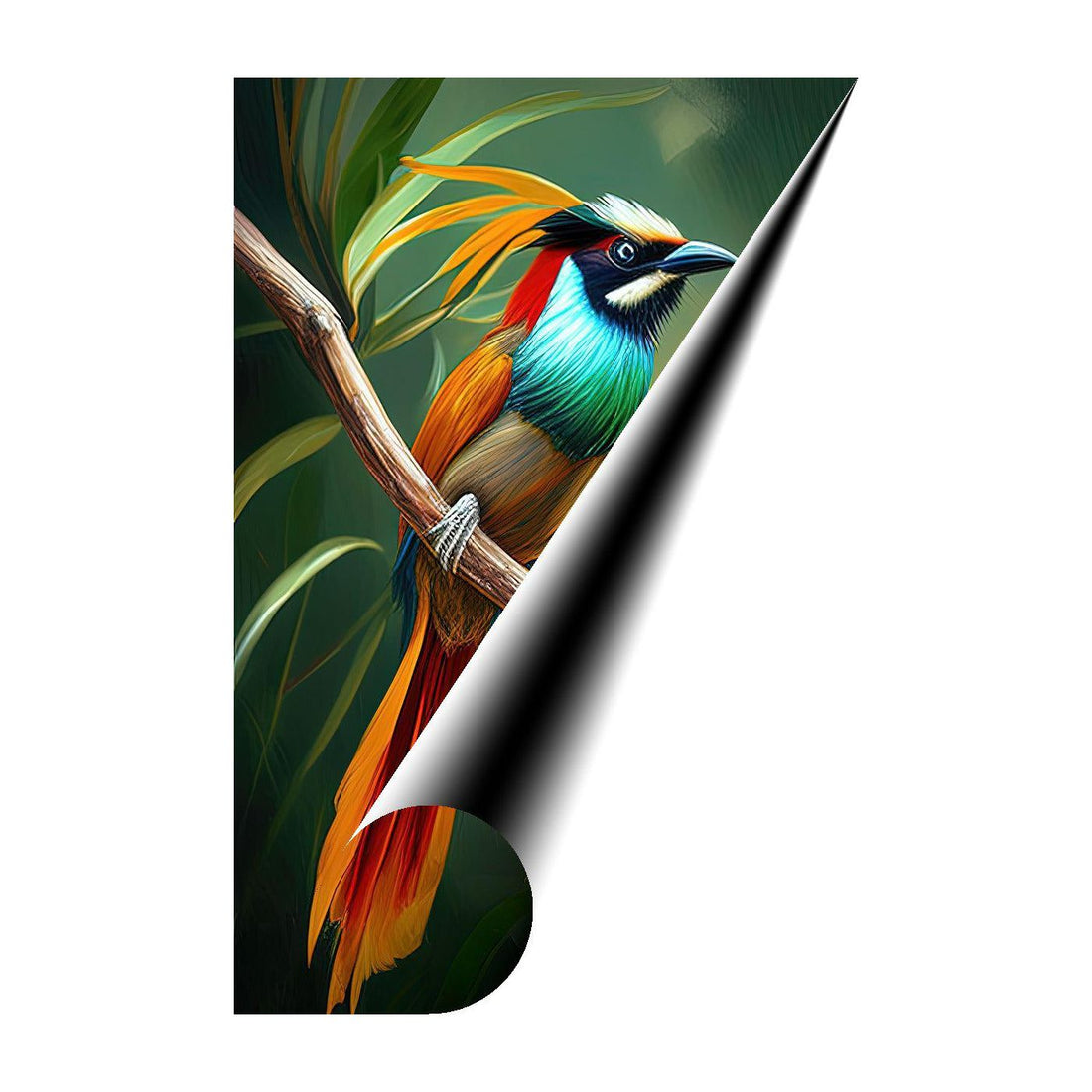 Lesser Of Paradise, Bird Art Print 23256 Giclee Rolled Canvas Print Visual Wall Art