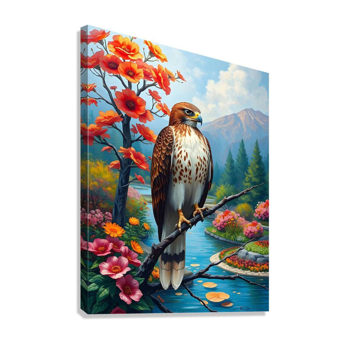 Red Tailed Hawk, Bird Art Print 34228 Giclée Stretched Canvas Print Visual Wall Art