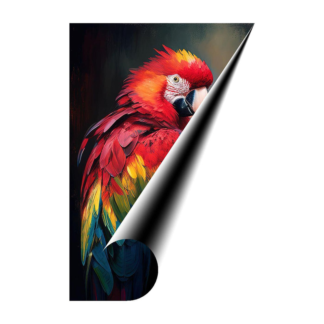 Scarlet Macaw, Macao, Bird Art Print 23295 Giclee Rolled Canvas Print Visual Wall Art